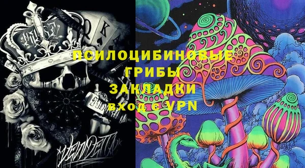 шишки Алзамай
