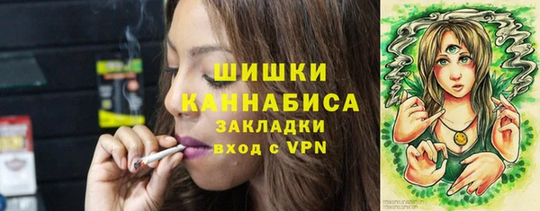 шишки Алзамай