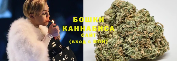 шишки Алзамай