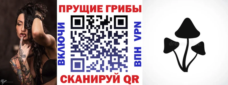 Псилоцибиновые грибы прущие грибы  blacksprut онион  Ижевск 